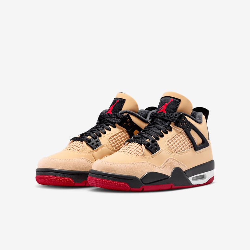 Men's  Air Jordan 4  'Pizza' Shoes