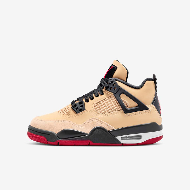 Men's  Air Jordan 4  'Pizza' Shoes